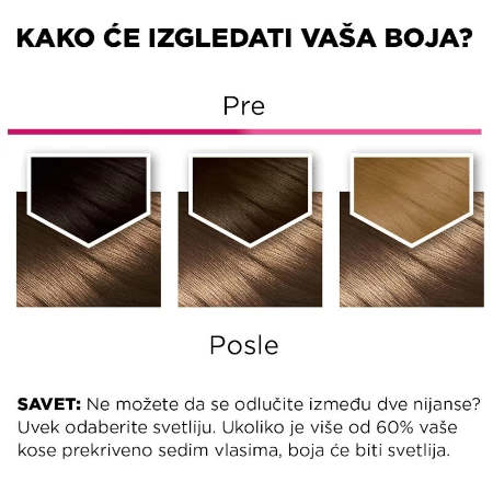 GARNIER COLOR SENSATION BOJA ZA KOSU 6.0