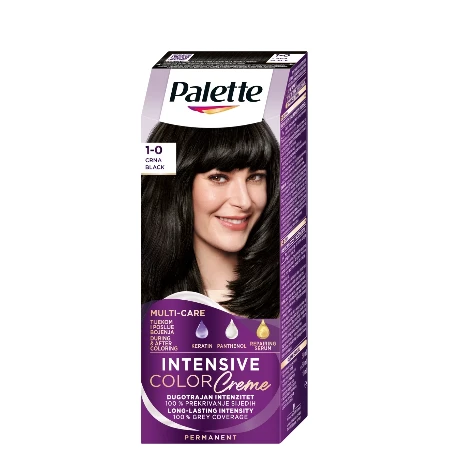 PALETTE ICC BOJA ZA KOSU N1 INTENZIVNO CRNA 1-0