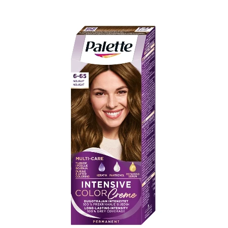 PALETTE ICC BOJA ZA KOSU W5 NOUGAT 6-65