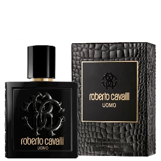 ROBERTO CAVALLI UOMO EDT 100ML M