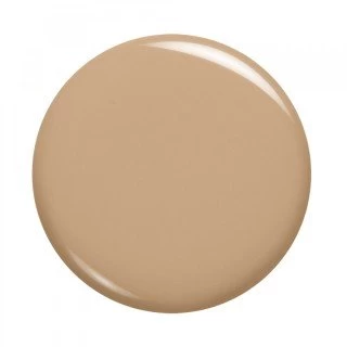 LOREAL TEČNI PUDER INFAILLIBLE 24H 30ML 200