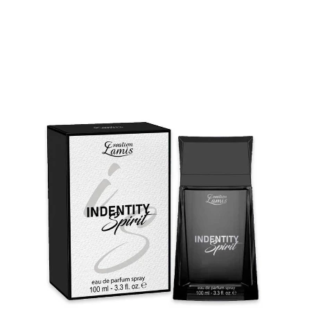 LAMIS TOALETNA VODA MEN 100ML IDENTITY SPIRIT